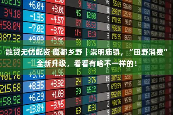 融贷无忧配资 魔都乡野｜崇明庙镇，“田野消费”全新升级，看看有啥不一样的！